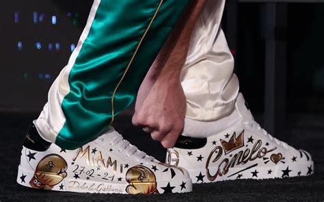 tenis dolce gabbana canelo|Dolce & Gabbana sneakers men's.